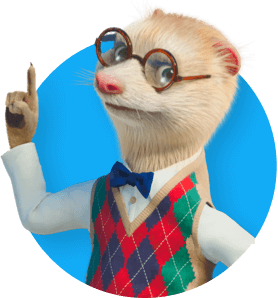 découvrez comment bien protéger votre furet avec une assurance adaptée. informez-vous sur les options disponibles, les garanties offertes et les conseils pratiques pour prendre soin de votre compagnon à fourrure tout en préservant votre budget.