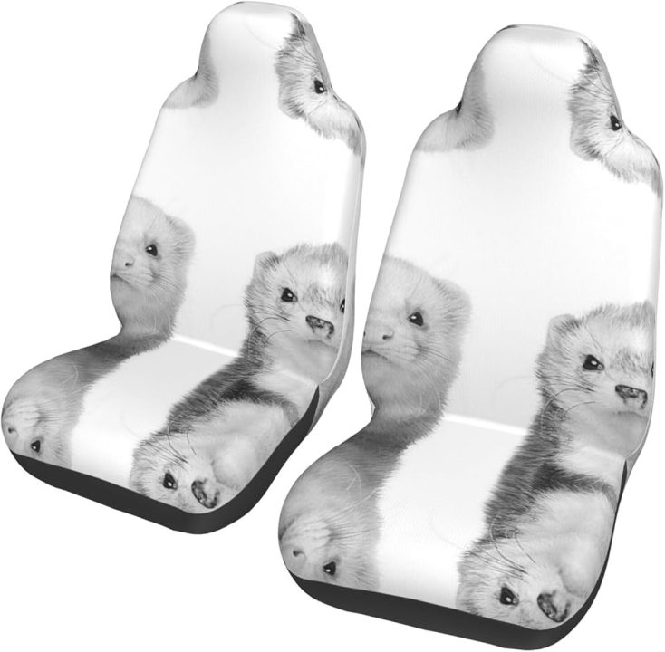 découvrez notre gamme de furets moto, l'outil indispensable pour l'entretien et la réparation de votre deux-roues. optez pour la qualité et la performance pour des trajets en toute sécurité.