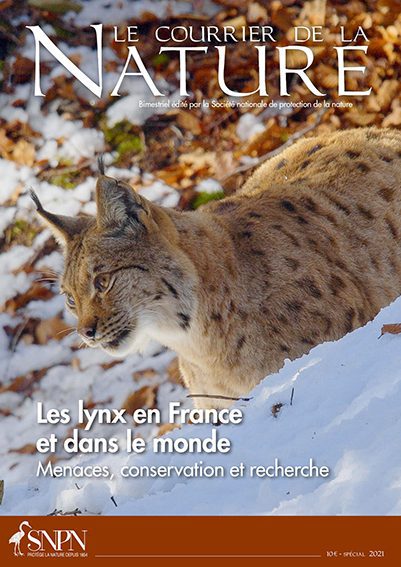 découvrez les enjeux écologiques fascinants du face-à-face entre le lynx et les furets. analysez leurs rôles dans l'écosystème, les défis de leur coexistence et l'importance de la conservation de ces espèces pour l'équilibre naturel.