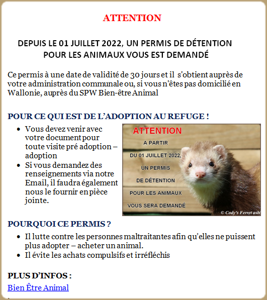 découvrez les clés du bien-être des furets : conseils pratiques, alimentation adaptée, environnement enrichissant et soins essentiels pour assurer une vie épanouie à votre compagnon à quatre pattes.