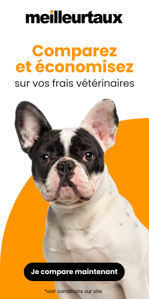 découvrez notre comparateur d'énergie furets et trouvez les meilleures offres d'électricité et de gaz adaptées à vos besoins. faites des économies sur vos factures tout en choisissant un fournisseur fiable et compétitif.