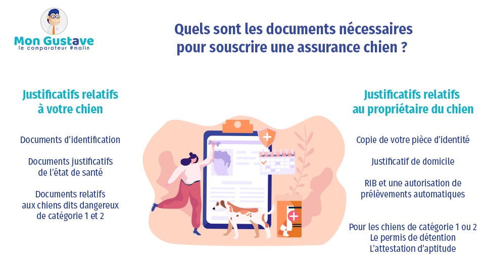 découvrez notre guide complet sur l'attestation d'assurance : conseils, étapes à suivre et informations essentielles pour obtenir votre attestation rapidement et efficacement. ne laissez rien au hasard dans vos démarches administratives !