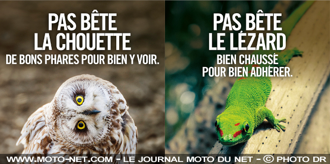 découvrez notre mutuelle spécialement conçue pour les motards, offrant des garanties adaptées à vos besoins en matière de santé, d'accidents et de protection personnelle. roulez en toute sérénité avec une couverture sur mesure!