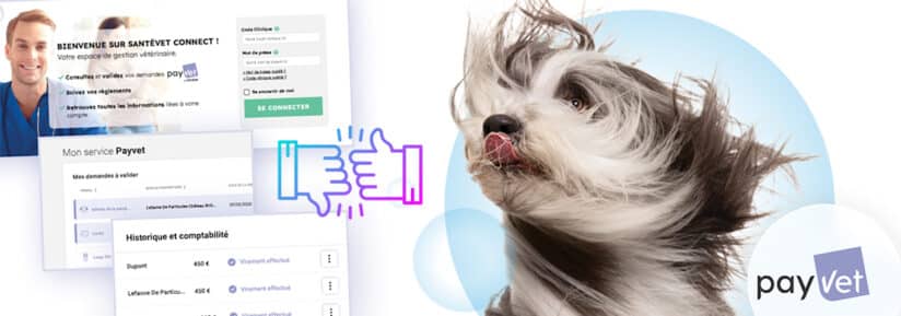 découvrez les avis sur finaxy group, une entreprise spécialisée dans les services financiers. explorez les retours d'expérience de clients et d'experts pour vous aider à évaluer la qualité de leurs services et prendre des décisions éclairées.